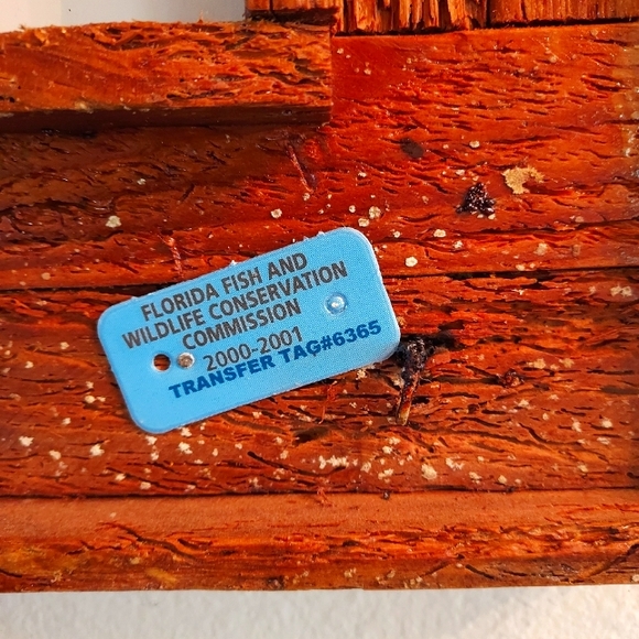 Guy Harvey's Wild Mahi Rustic Framed Signed Print w Glare Resistant Glass/ 2000. - Picture 3 of 13